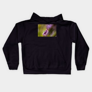 Phenomenal lavender close-up Kids Hoodie